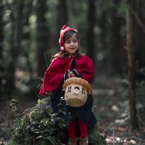 Le petit chaperon rouge avec son joli panier en forme de champignon est assis sur un rocher dans la forêt et porte une cape et un bonnet rouge. Collection il était une fois, par Alice & Charlotte, artisanat français.